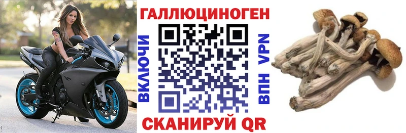 цена наркотик  Яблоновский  Галлюциногенные грибы Magic Shrooms 